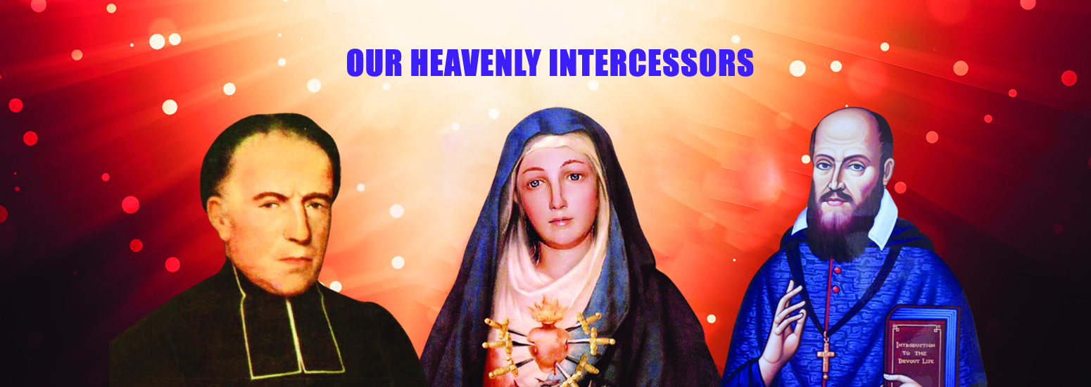 Fr Tomson Aerathadathu MSFS